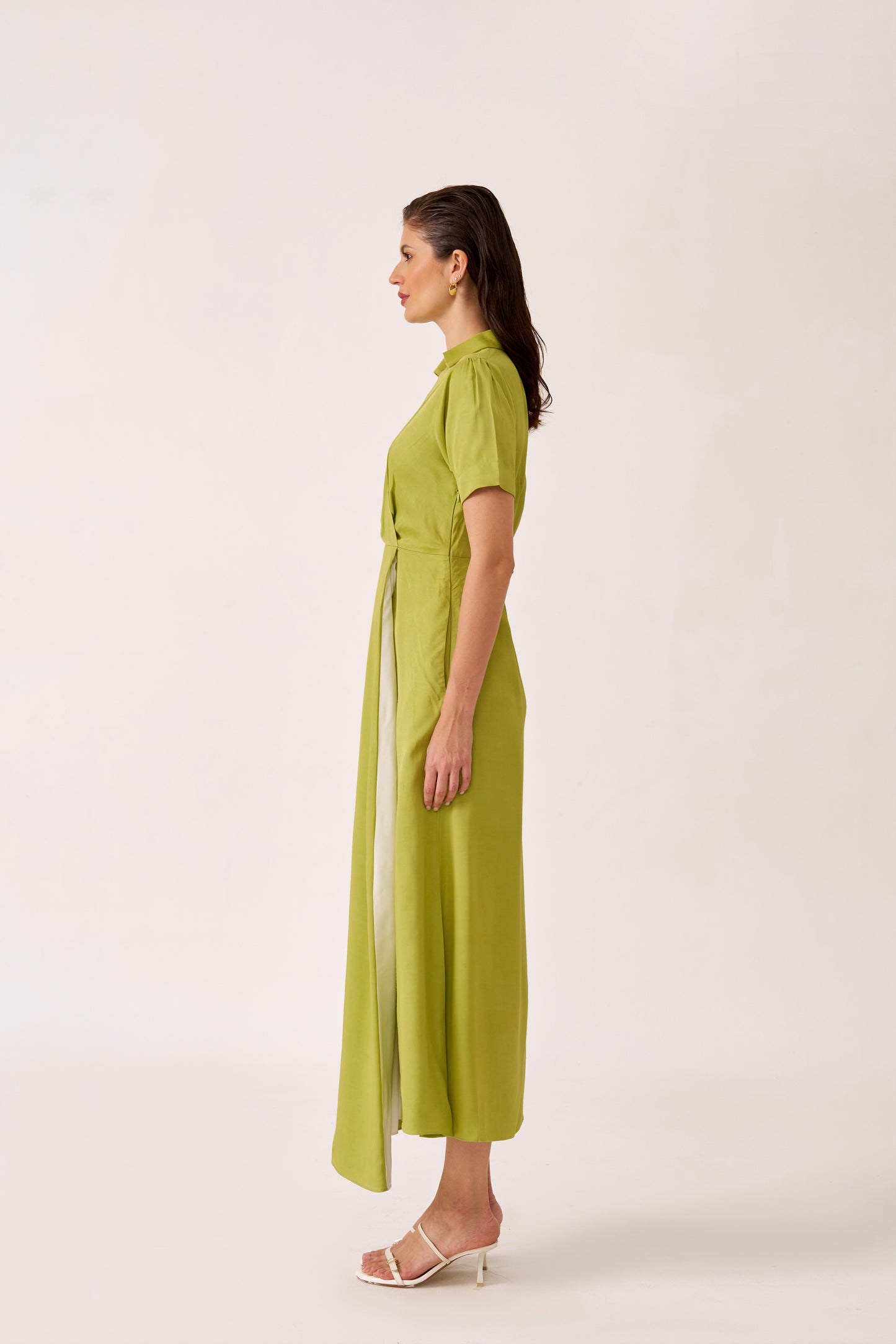 Sasha Dress
