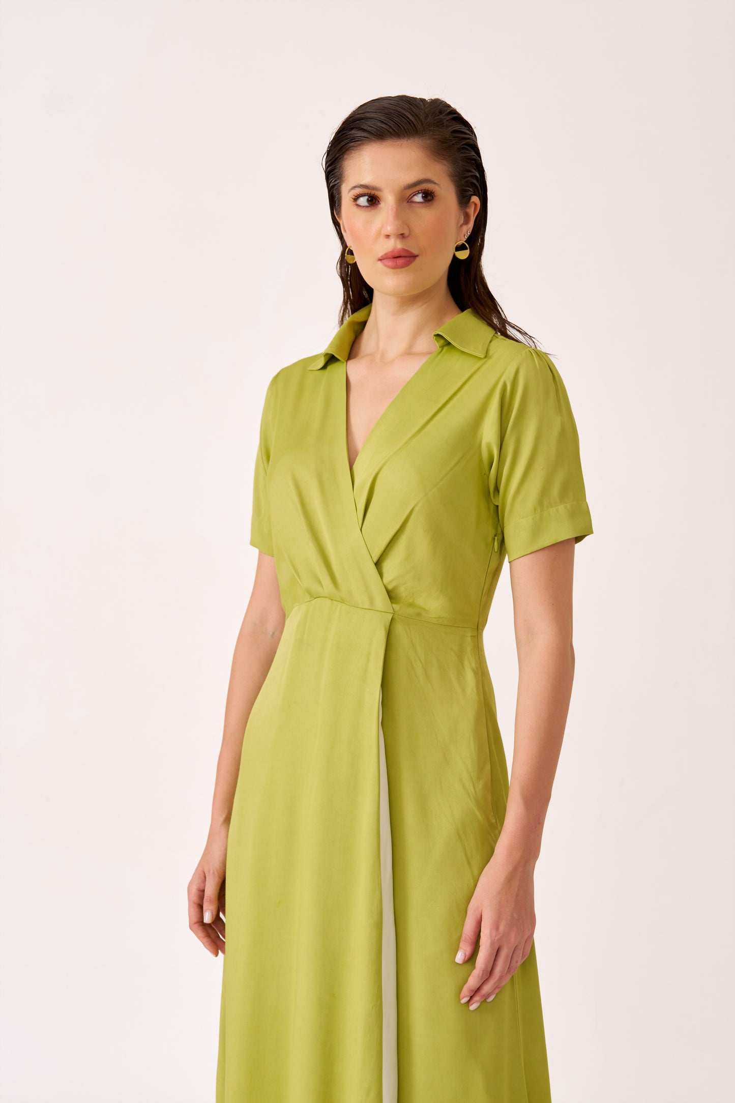 Sasha Dress
